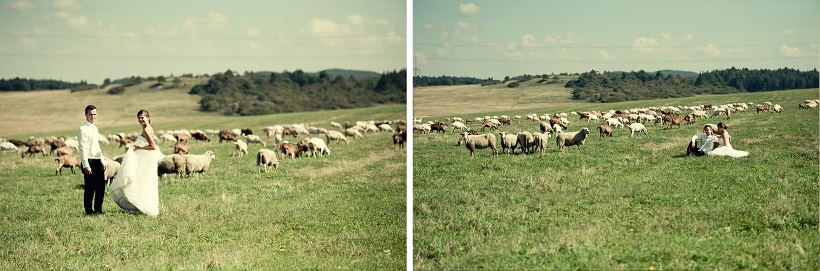 zdjęcia ślubne Łódź