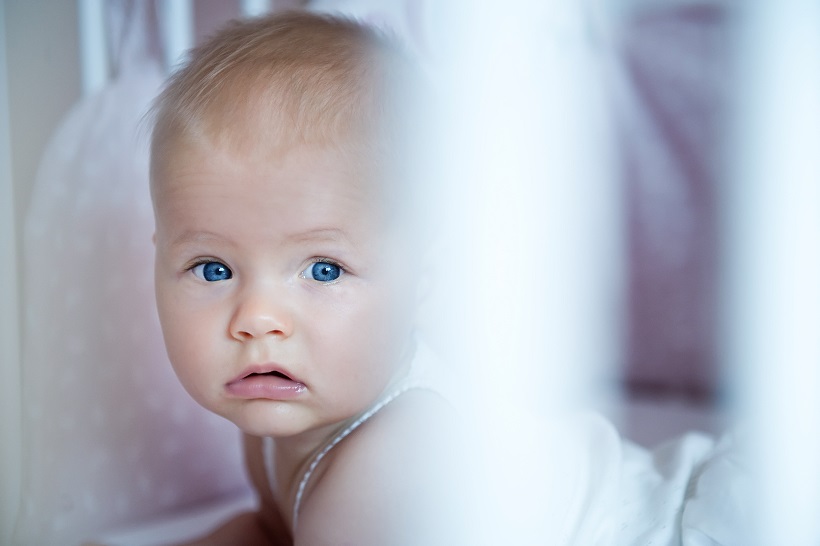 zdjęcia Pabianice fotograf