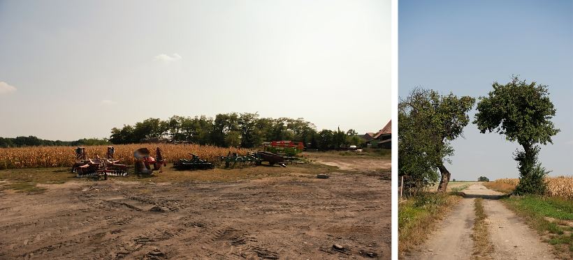 fotograf ślub Łódź